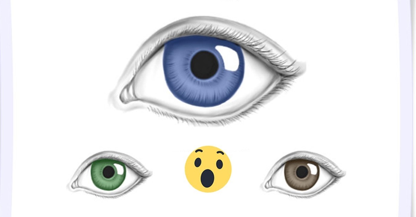 Augenfarbe der Eltern und der Kinder: Mögliche Kombinationen