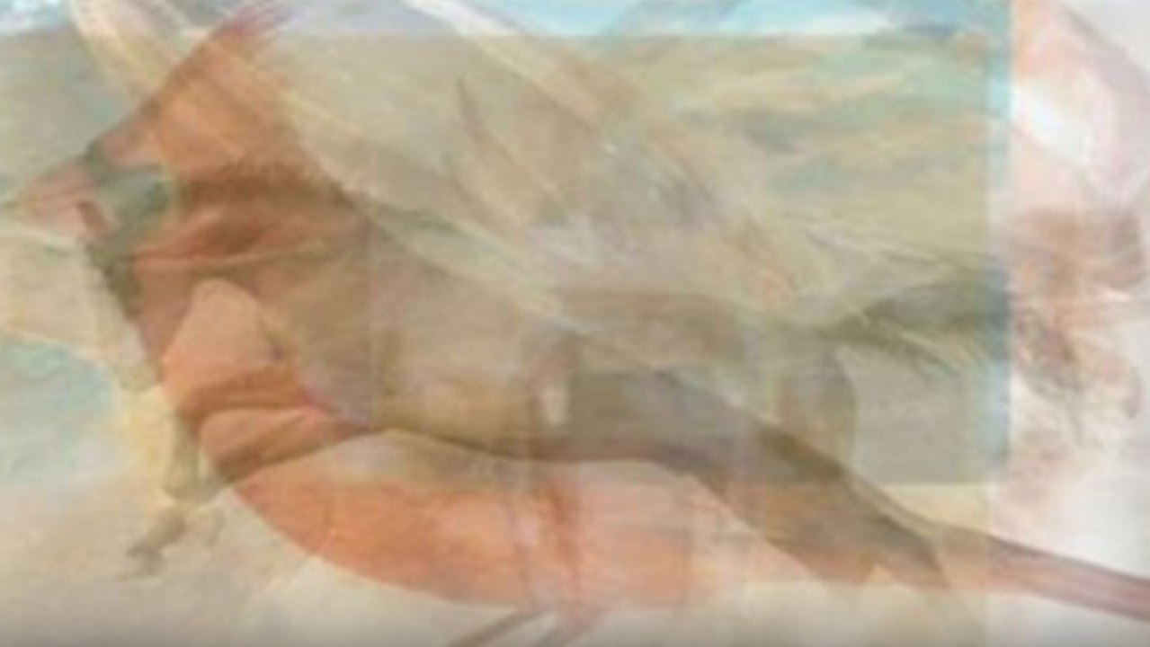 Was du zuerst auf diesem Bild siehst, spricht Bände über deine Persönlichkeit!