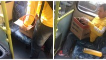 Brasilien: Ein Mann nimmt den Bus mit einem seltsamen Karton unter dem Arm