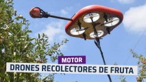 [CH] Drones autónomos recolectores de fruta