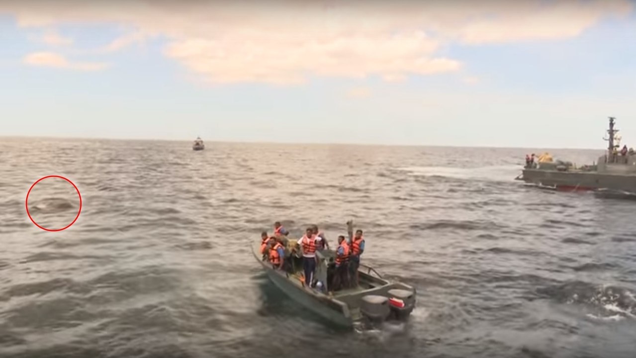 Vor Sri Lanka gerät ein Elefant in Seenot... Die Marine muss den Dickhäuter vor dem Ertrinken retten