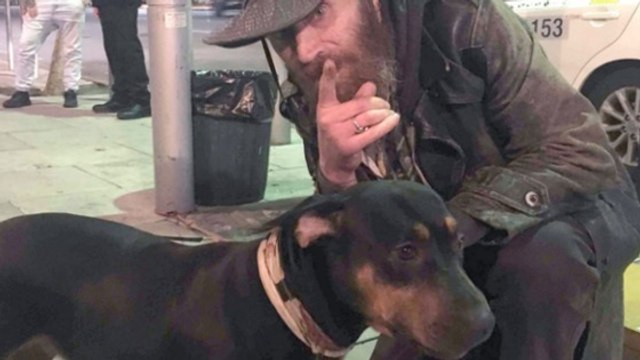 Sie begegnet dem Obdachlosen und seinem kranken Hund...Du kommst nicht darauf, was sie wagt zu tun!