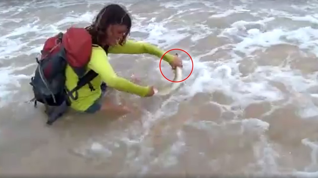 Sie möchte einen Baby-Hai fotografieren, doch darauf war sie nicht vorbereitet!