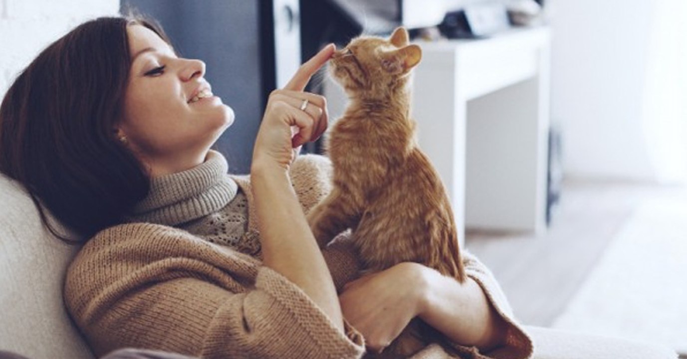 So will dir deine Katze sagen, dass sie dich lieb hat!