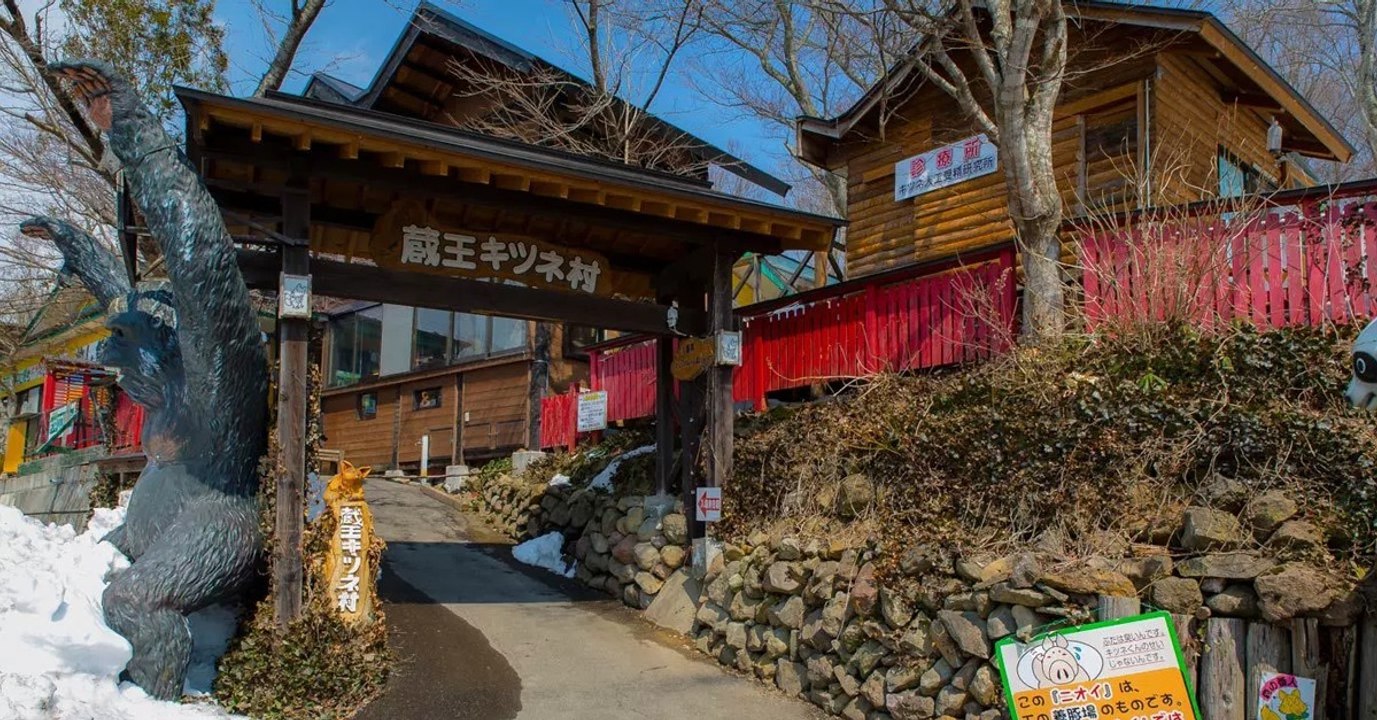 Fox Village in Japan: Ein Paradies für Füchse