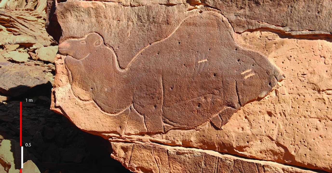Tierdarstellungen in al-Dschauf im Nordwesten Saudi-Arabiens entdeckt