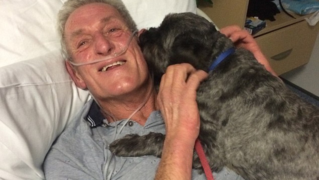 Unglaublich, was dieser Hund im Krankenhaus für sein krebskrankes Herrchen fertig bringt!