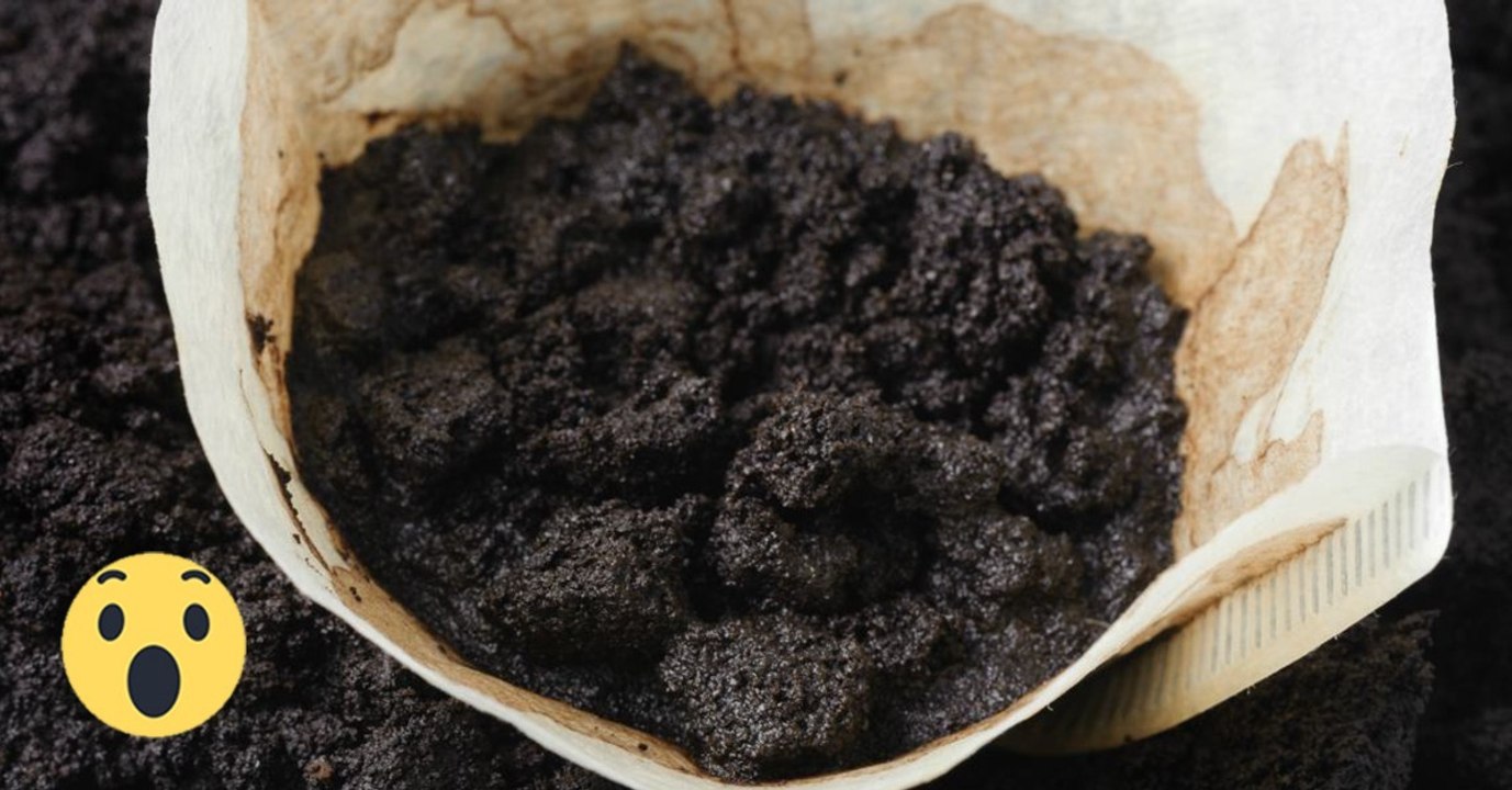 Kaffeesatz: Du kannst ihn auch sinnvoll im Haushalt verwenden!