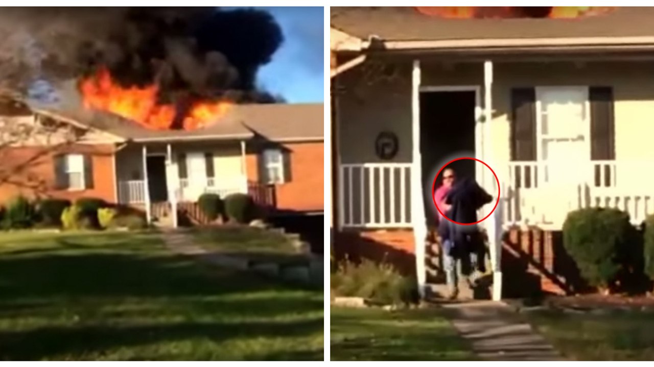 Ein Feuerwehrmann rettet einen Hund aus einem brennenden Haus. Was danach passiert ist unglaublich!