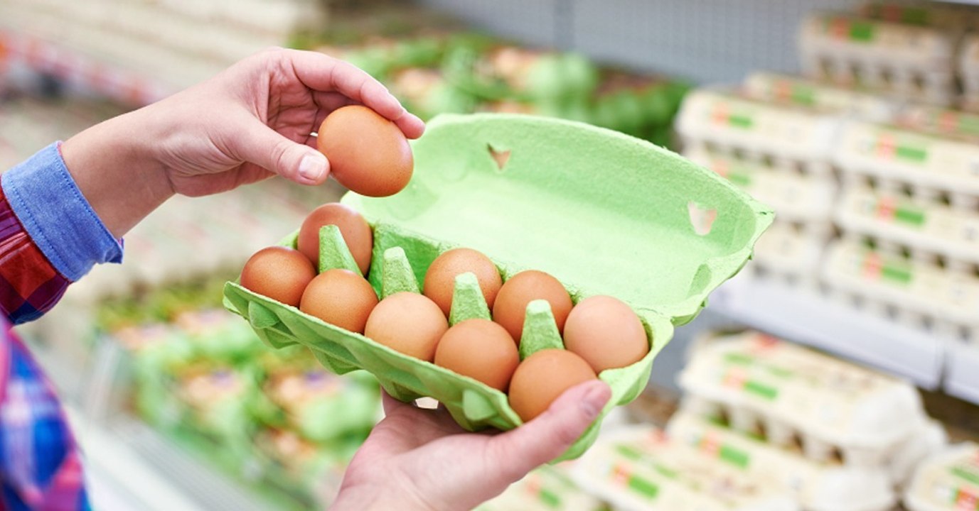 Produktrückruf: salmonellengefahr bei freiland-eiern
