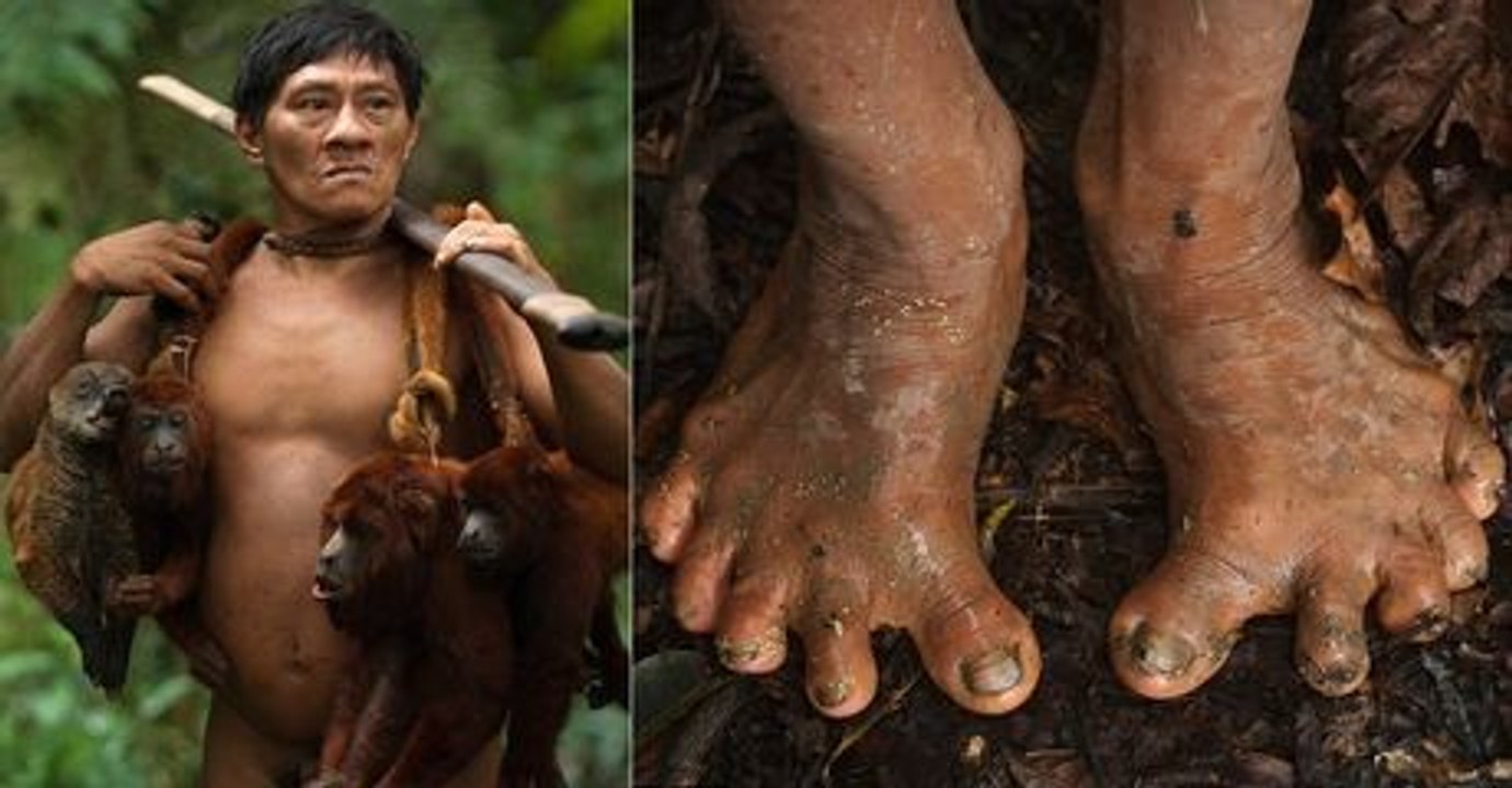 Abenteuer-Fotograf macht Fotos von Amazonas-Stamm bei der Affenjagd