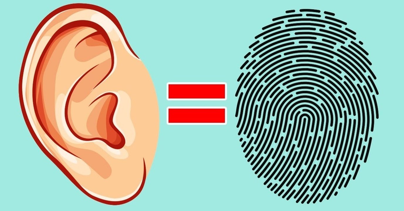 Die Form der Ohren: Das sagt es über deinen Charakter aus!