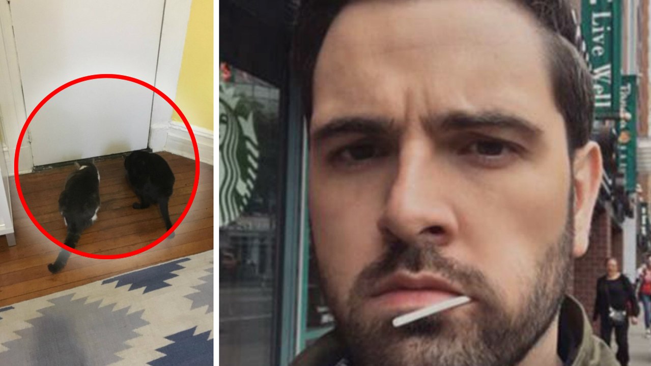 Dieser mann wird jede nacht von einem geist heimgesucht! auch seine katzen bemerken ihn!