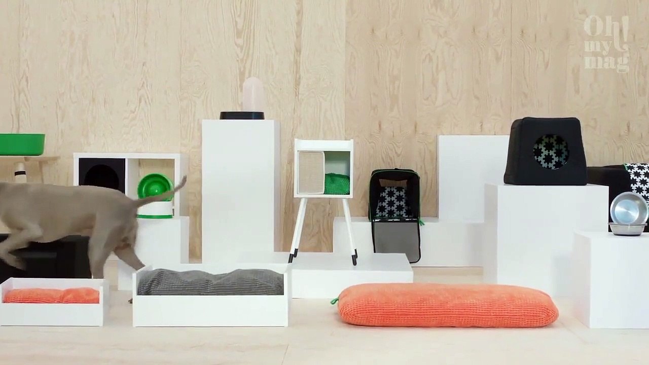 Tolle Nachrichten! Hunde und Katzen finden jetzt auch bei IKEA ihr Glück!