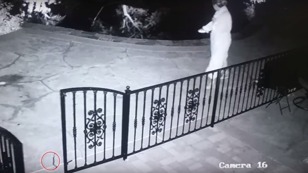 Mitten in der Nacht passiert dieser Frau etwas super Gefährliches mit dem Spielzeug ihres Hundes!