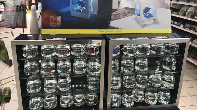 Baumarkt muss Produkt einstellen nach Shitstorm