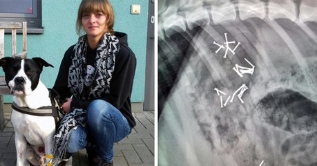 Sie lässt ihren Hund röntgen. Dann ruft sie sofort die Polizei!