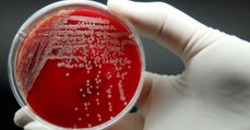 Antibiotikaresistenz: Neue, beunruhigende Zahlen aus Deutschland und der Welt