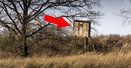 Tragischer Jagdunfall: Jäger hält sein Zielobjekt für ein Wildschwein und schießt