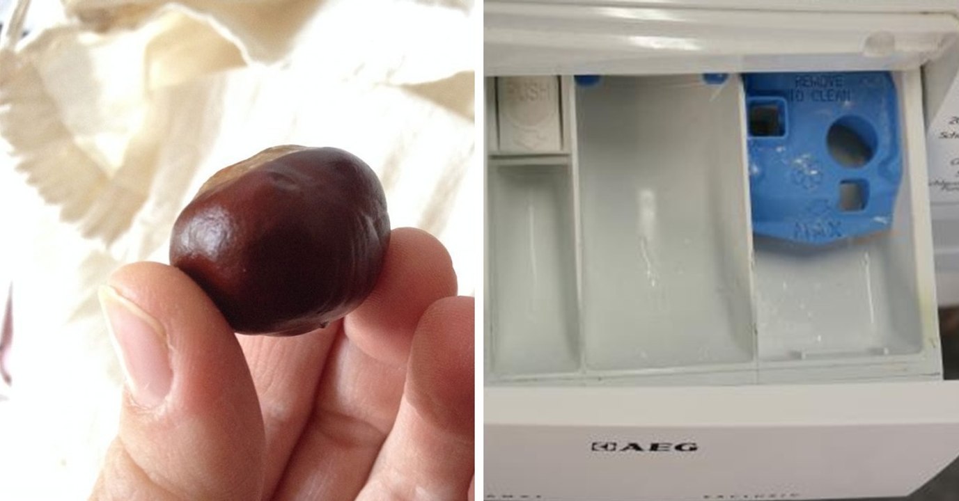 Sie füllt Kastanien in ihre Waschmaschine. Der Grund dafür ist genial