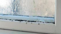 Kondenswasser am Fenster: So vermeidest du schwitzendes Glas
