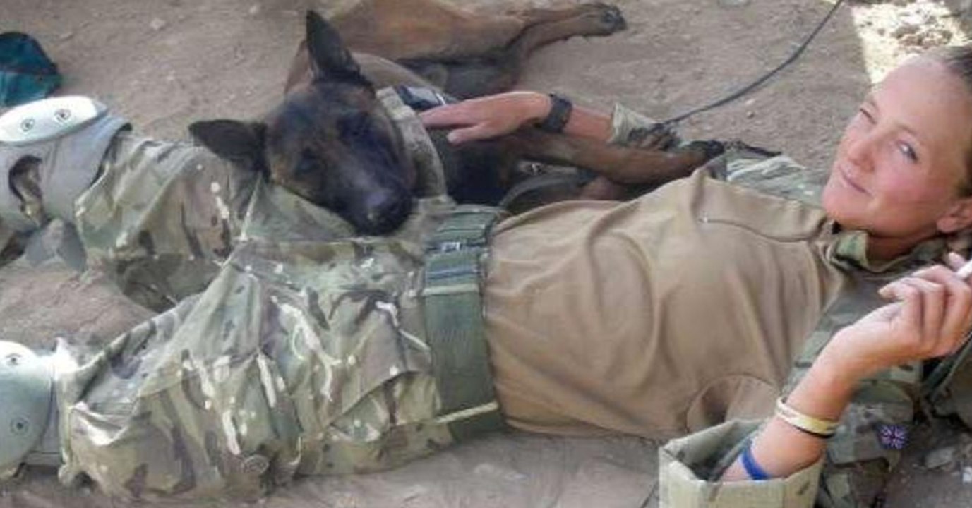 Tod statt Ruhestand: Das soll mit ausgedienten Armeehunden passieren