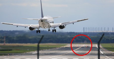 Ein hilfloses 200-Kilo-Tier auf der Landebahn, das die Piloten noch nie gesehen haben