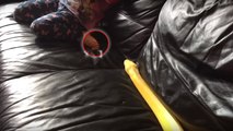 Entspannte Zweisamkeit: Ein kleines Mädchen und seine zahme Pythonschlange