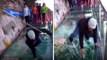 Die Taiheng-Glasbodenbrücke in China: Das Glas splittert unter den Füßen der Touristen