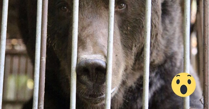 16 Jahren hinter Gittern. Jetzt wurde eine Entscheidung getroffen, die viele berührt!