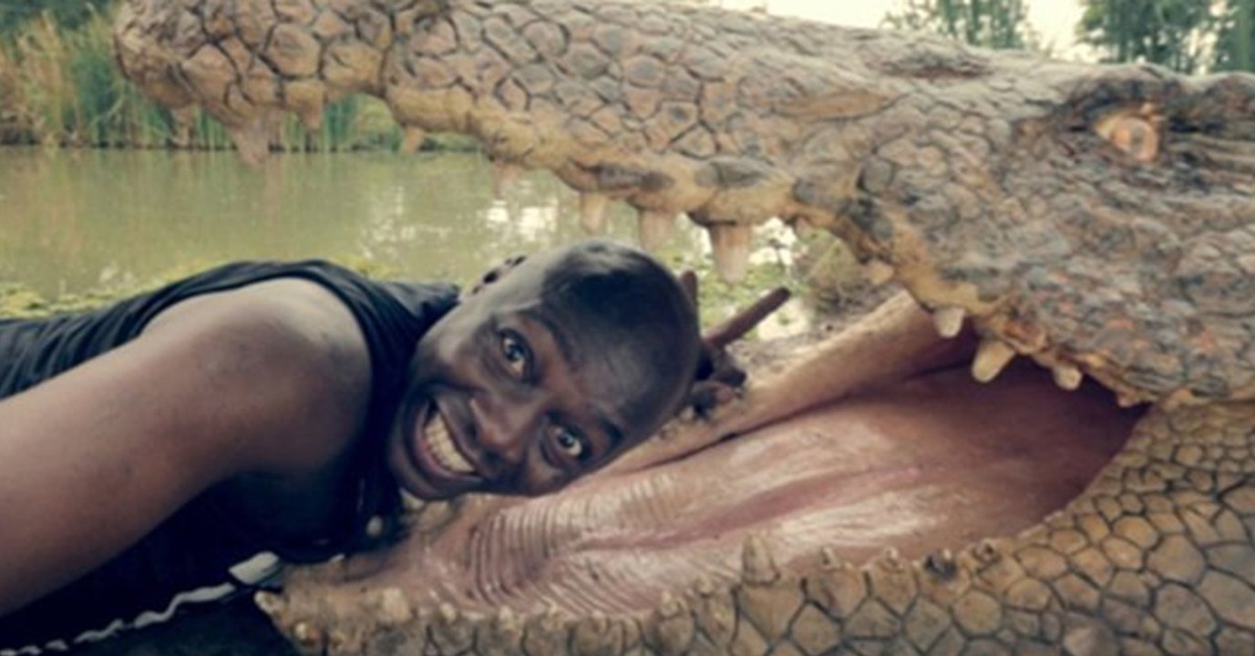 Initiative: Ein Kampf gegen Selfies mit wilden Tieren