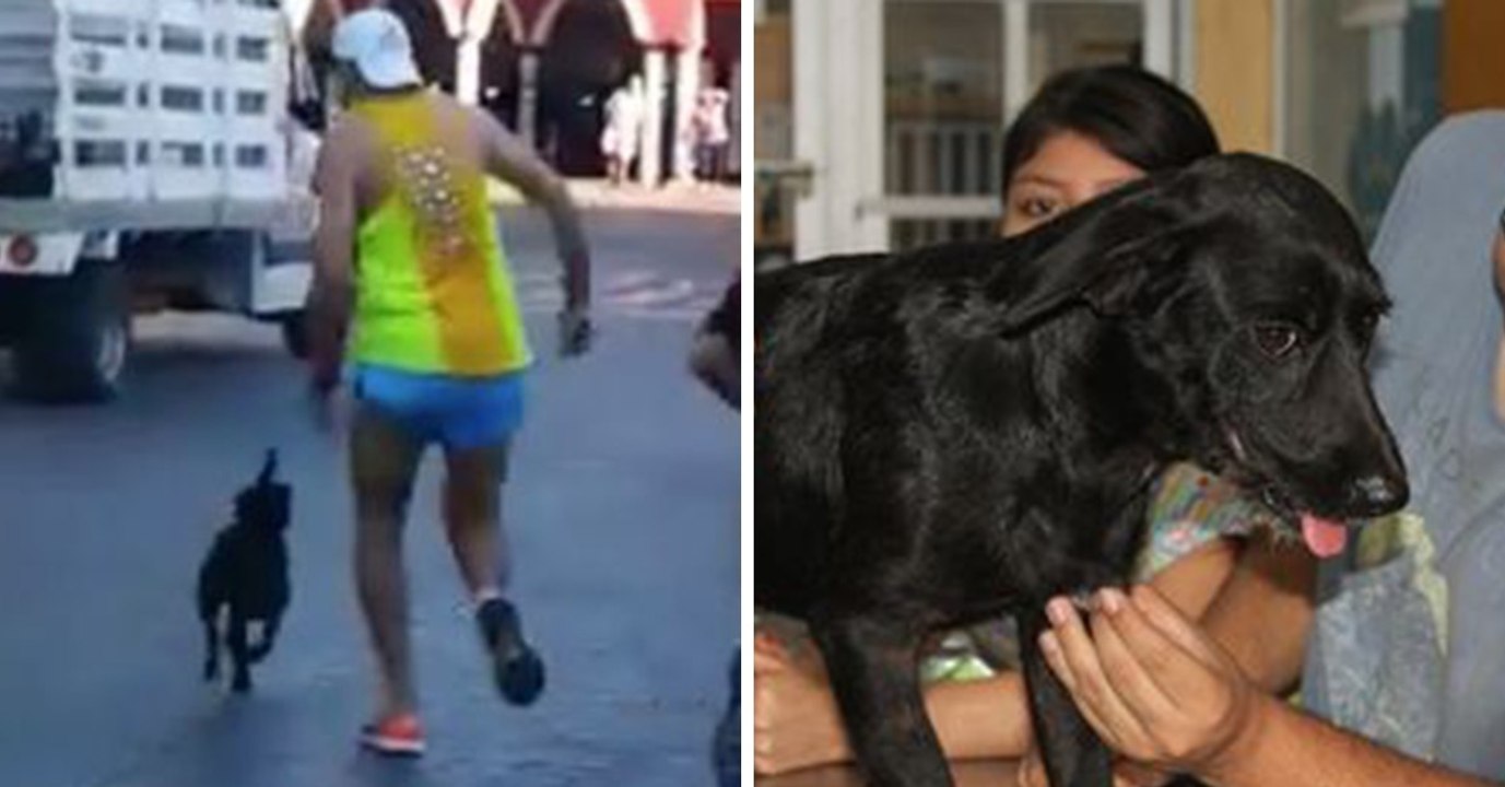 Valladolid-Marathon: So geht es dem getretenen Hund