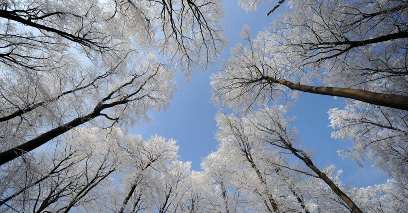 Russenpeitsche im Winter-Wetter-Bericht: Kältewelle und Minus-Temperaturen
