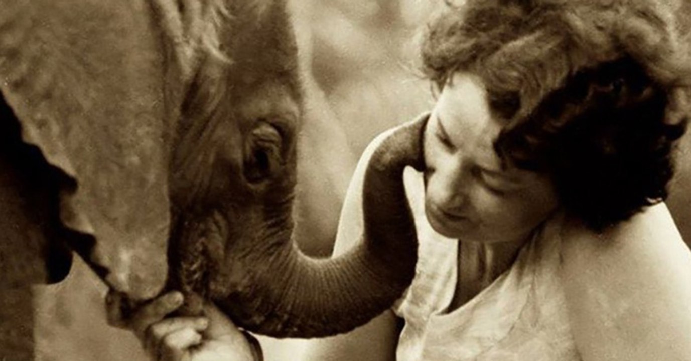 Elfenbein-Wilderei: Diese Frau kümmert sich seit 40 Jahren um die verwaisten Elefanten-Babys