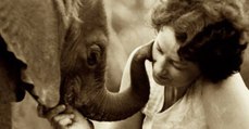 Elfenbein-Wilderei: Diese Frau kümmert sich seit 40 Jahren um die verwaisten Elefanten-Babys