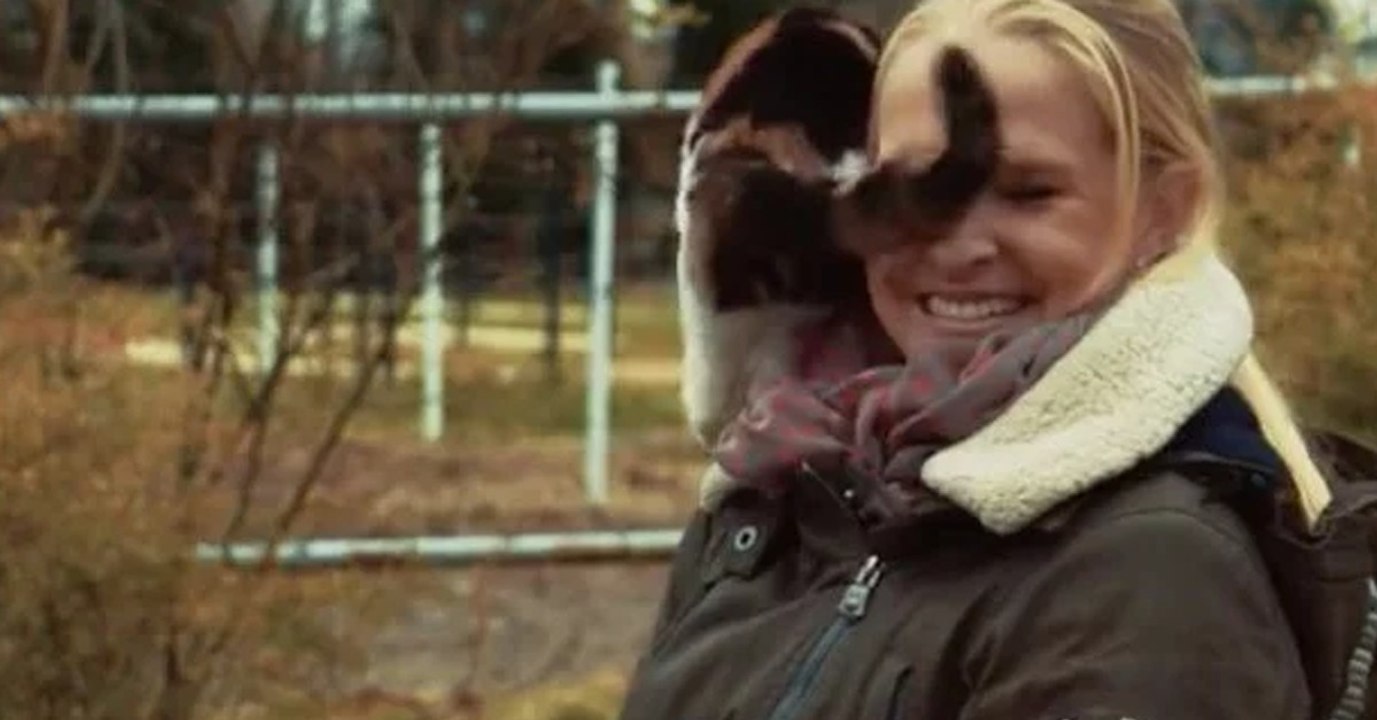 Die Moderatorin versucht, einen Mann zu interviewen. Doch seine Katze hat ganz andere Pläne