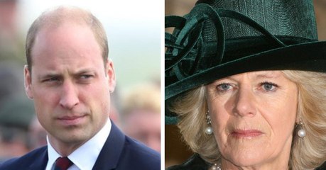 Dicke Luft im Königshaus: Williams Worte verletzen Camilla