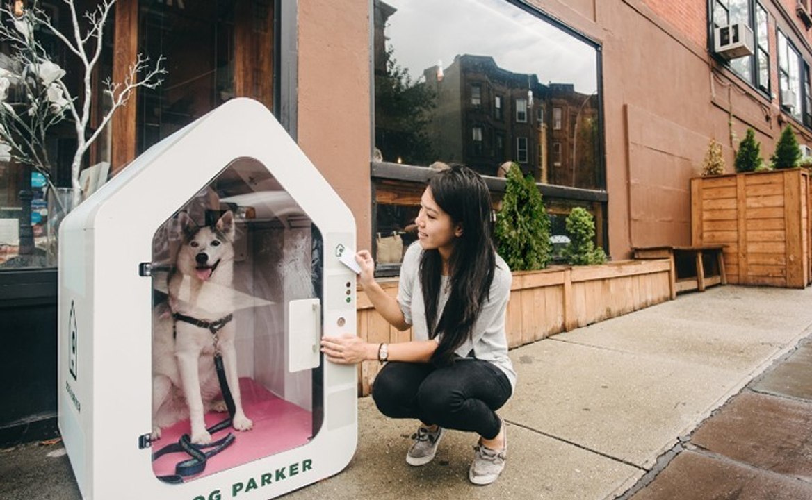 Warum nur sperren immer mehr Amis ihre Hunde in diese Boxen?