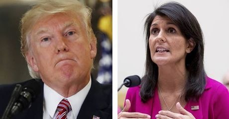 Mit dieser riskanten Aussage fällt eine enge Vertraute Trump in den Rücken