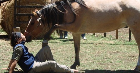 Fünf Tiere, die eine ganz besondere Verbindung zum Menschen haben