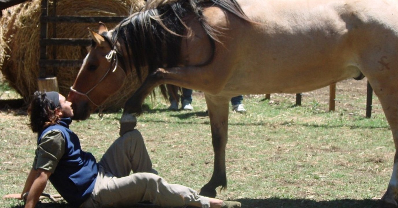 Fünf Tiere, die eine ganz besondere Verbindung zum Menschen haben