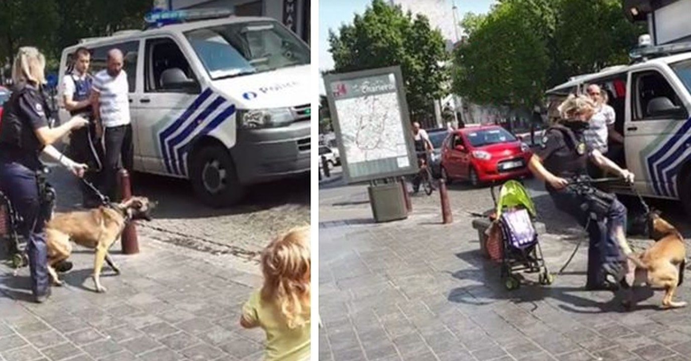 Das Video einer Polizistin, die ihren Hund tritt, macht das Netz wütend