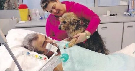 Komapatient reagiert auf die Anwesenheit seines geliebten Hundes