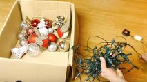 Ohne auszurasten: So kannst du deine Weihnachtsbeleuchtung ohne Wirrwarr wieder einpacken