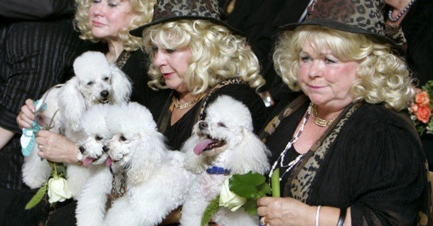 Wieder erschüttert ein Todesfall die Jacob Sisters!