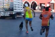 Valladolid-Marathon: Läufer tritt Hund brutal und muss sich entschuldigen