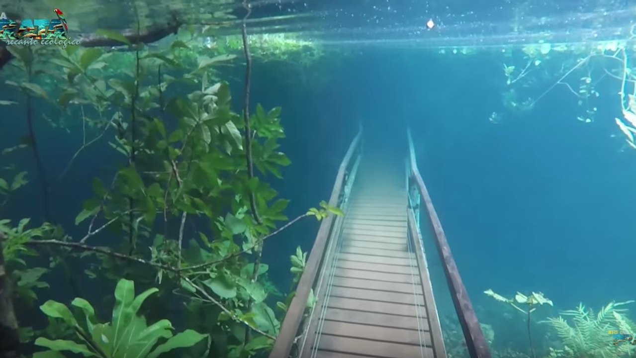Rio da Prata (Brasilien): Ein magischer Unterwassergarten, der durch Hochwasser entstanden ist
