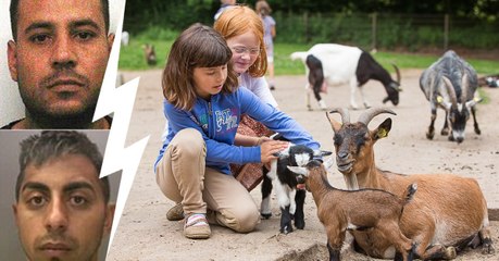 Berlin: Tierquälerei im Streichelzoo geht weiter