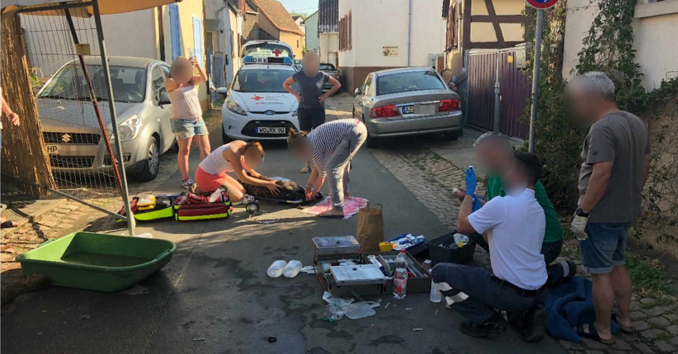 Hitze-Drama in Rheinhessen an sommerlichen Wochenende