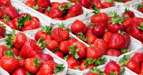 Aldi: Kundin macht grausige Entdeckung in Erdbeerschale